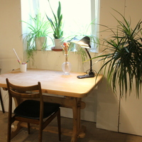 Gallery Foto