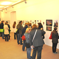 Gallery Foto