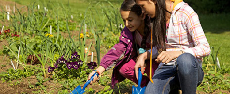 Junior City Farming
