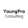 YoungPro Consulting