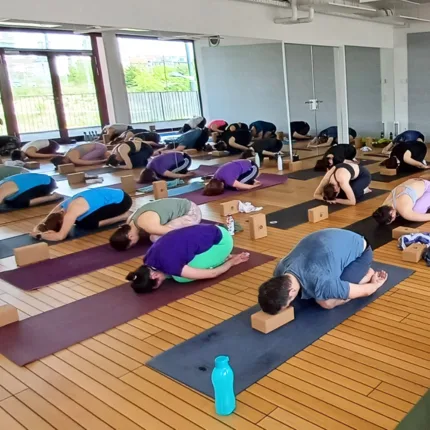 Dein Yoga Leo -  Yoga- und Pilatesstudio  – Foto 8