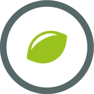Webagentur LIMESODA