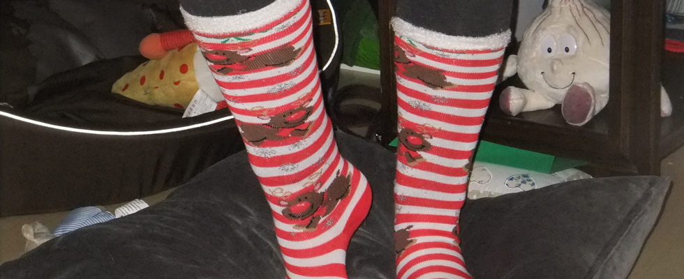 Warten aufs Christkind im Wildgarten