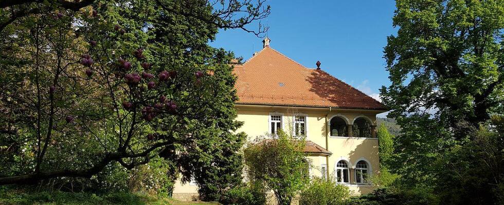 Wir vermieten unseren 50m² großen Raum - Altbau