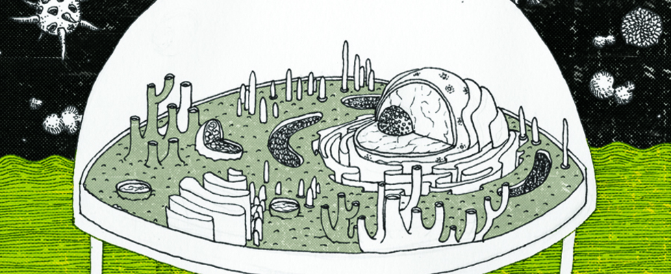 Genesis Park