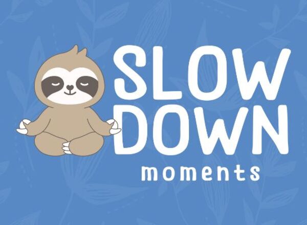 Slowdown Moments