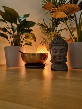 Body and Mind Garden Yoga- und Pilates-Studio – Foto 2