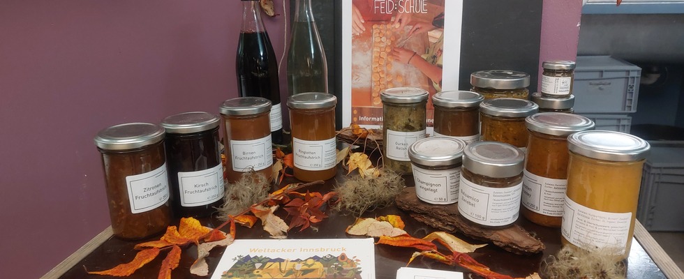 Feld:schafft Produkte und feld:schule Workshops