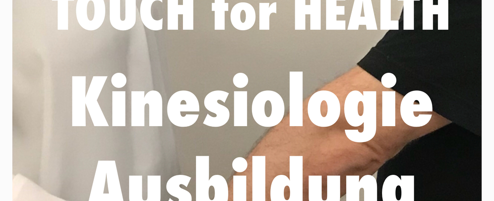 TOUCH for HEALTH Kinesiologie Ausbildung Modul Metaphern / 5. Teil von 5-8