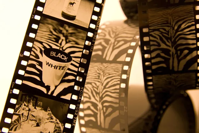 ZEBRA Das ZENTRUM FÜR KLASSISCHE UND MODERNE FOTOGRAFIE – Foto 4