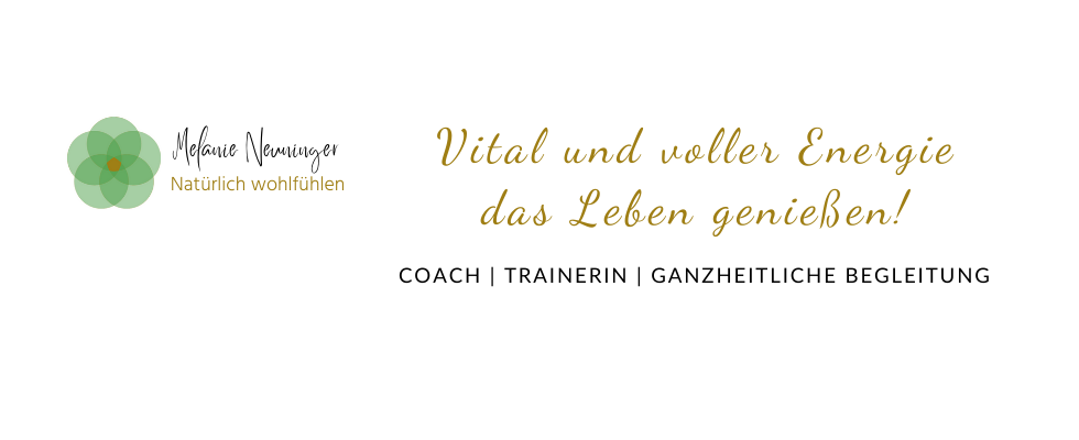 Melanie Neuninger, 5 Ebenen-Coach