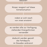 Gallery Foto