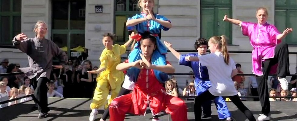 Wushu Academy