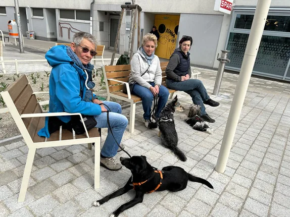 Hundetraining mit Roya – Foto 12