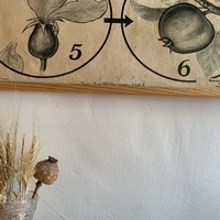 Gallery Foto