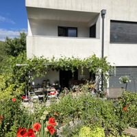 Gallery Foto
