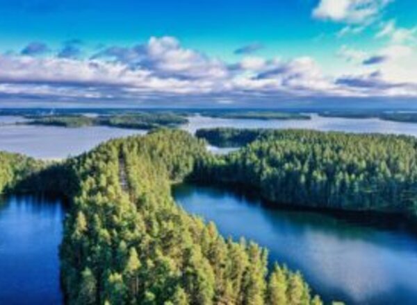 Business Coach / Startup Beratung