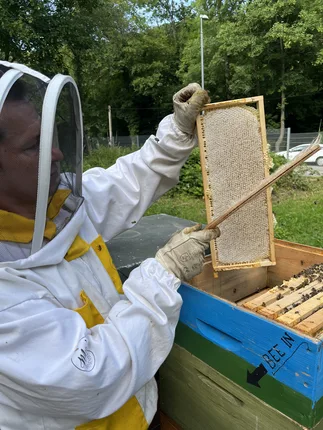 Mio’s Bienenwelt- Imkereibedarf, Bienenprodukte und Räucherwerk – Foto 2