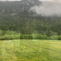 Gallery Foto