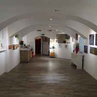 Gallery Foto