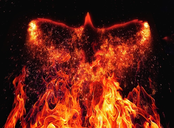 Collective Transformation – Stay connected, aligned and inspired throughout the year.