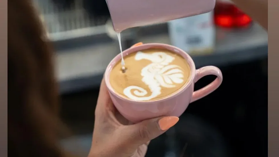 Kaffeepferdchen  – Foto 1