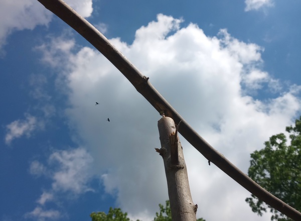 Balance im Alltag finden