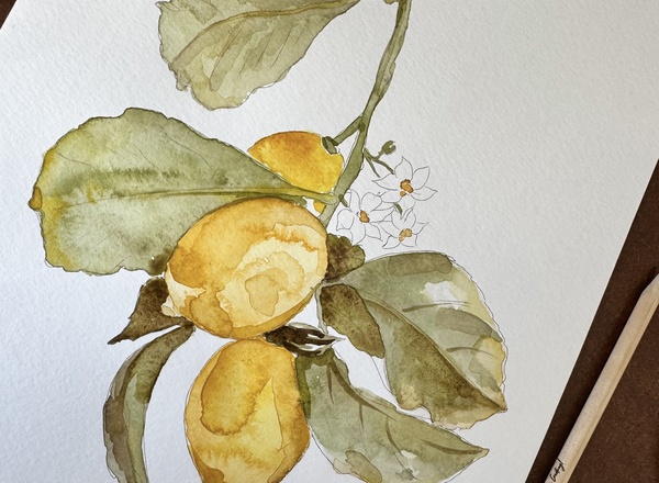 Sip & Paint- Aquarell Workshop 