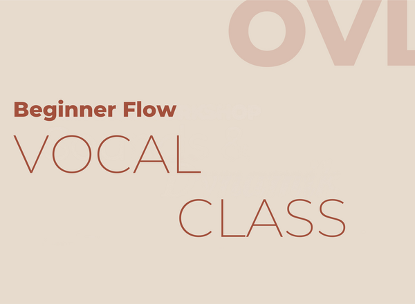 Vocal Class für Popularmusik (3h)