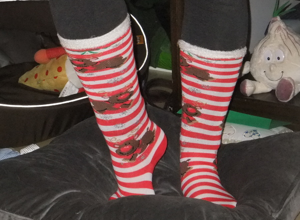 Warten aufs Christkind im Wildgarten