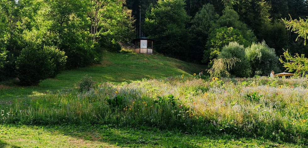 Workshops für deine Selbstfürsorge – Foto 1