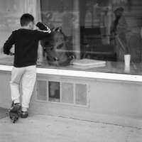 Gallery Foto