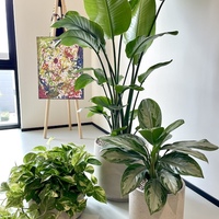 Gallery Foto