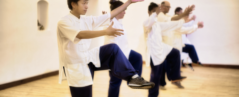 Indoor Qi Gong of the San Feng lineage