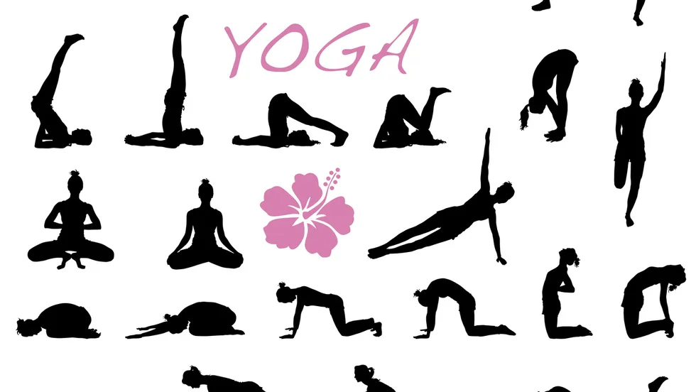 Yogatrainerin und Yogatherapeutin – Foto 1