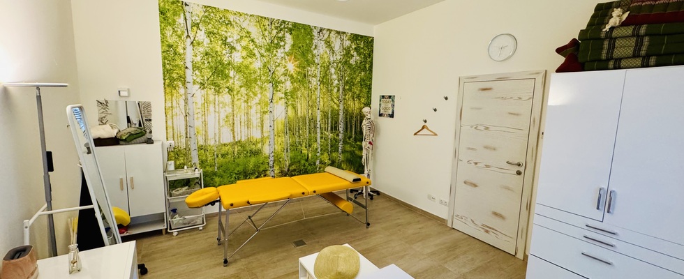 Ruhiger Praxisraum mit Garten in Stadlau tageweise zu vermieten