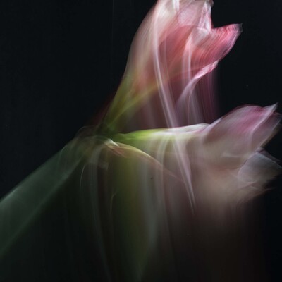 #<CrowdReward:0x00007f46b0bf6a50>