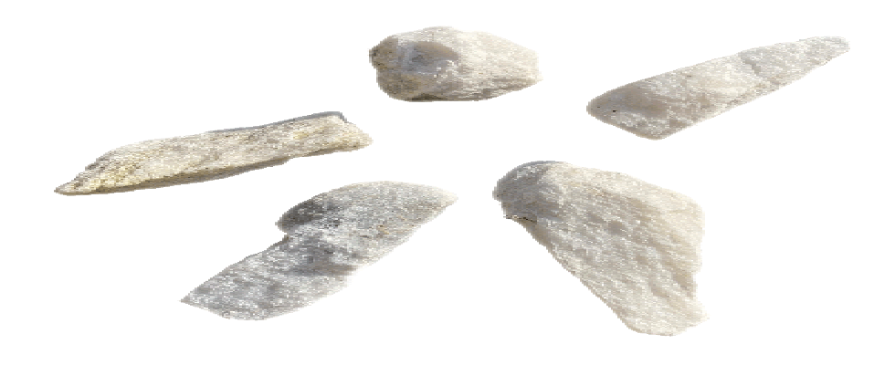 Kinesiologie, Strömen, psychosoziale Beraterin (in Ausbildung unter Supervision)