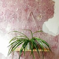 Gallery Foto