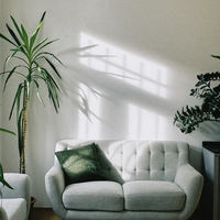 Gallery Foto