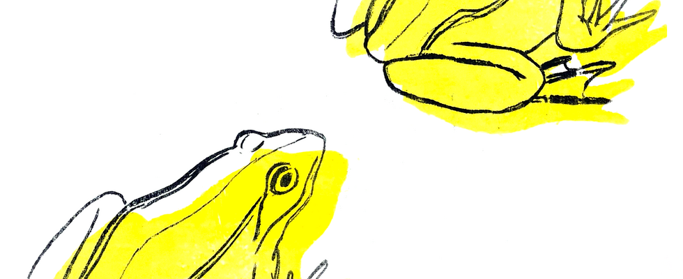 Küchenlithografie - Druckkunst mit Alufolie, Cola und Nudelmaschine