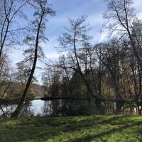 Gallery Foto
