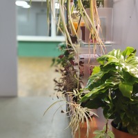 Gallery Foto