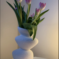 Gallery Foto