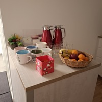Gallery Foto