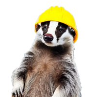 Dachsgeschoss 🦡📈