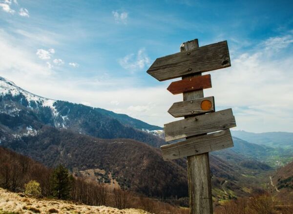 Mediation & Business Coaching