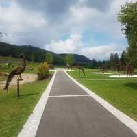 Gallery Foto