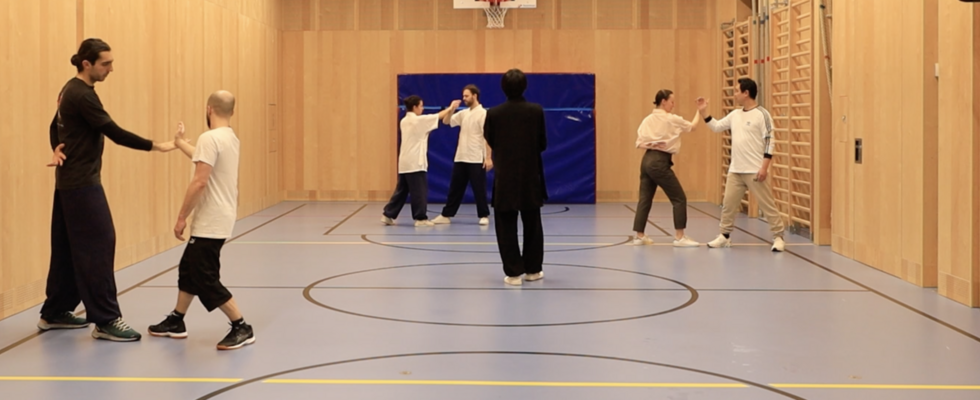 Indoor Gong Fu of San Fen Chinese Martial Arts, Chinesischen Kampfsport