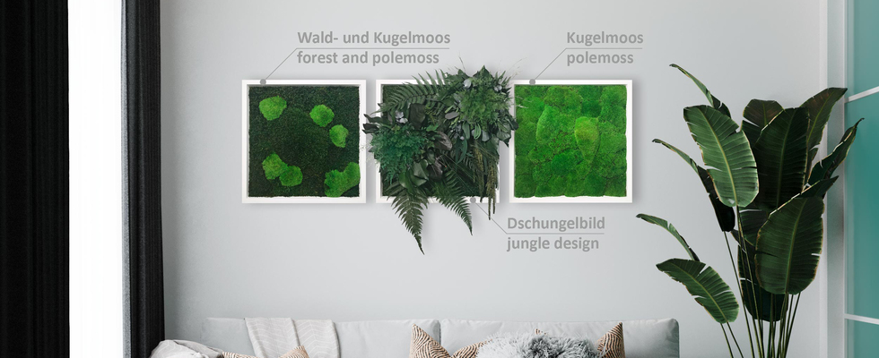 ingreen - Pflanzen- und Moosbilder - 100% Natur & keine Pflege!